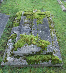 Grave Stone Octavius and Maria Fox