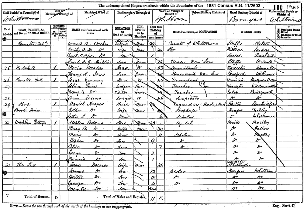 1881 Census - Selina Price  R.G. 11/2603